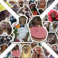 54Pcs Monkey Meme Stickers Funny Cartoon Graffiti Stickers Decorative Water Cups Guitar Luggage Phone Case Stickers