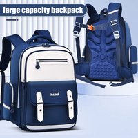 Kids Ergonomic School Bag Large Capacity Backpack for Primary School Bag Teen Girl Boys Bookbag Blue