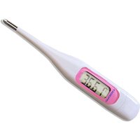 Hard Head Digital Thermometer for Armpit Oral Use Female Basic Ovulation Detection Waterproof Celsius Fahrenheit Home Essential