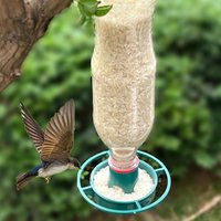 Hanging Bird Feeder Eco-friendly Bottle Topper Bird Feeder Hanging Soda Bottle Wild Bird Feeder Garden Backyard Outdoor Feeding