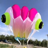 Large trilobites kite soft kite flying for adults outdoor toys for children kites inflatable kites Convection oven parachute koi