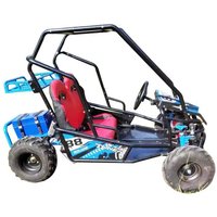 Electric Go-kart Drift Mini Go Kart Kid off Road Buggy 48v 500W Double Seat