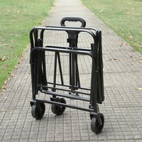 Collapsible Wagon Cart Large Capacity Portable Folding Wagon Utility Grocery Wagon for Outdoor Camping Garden Sports Beach
