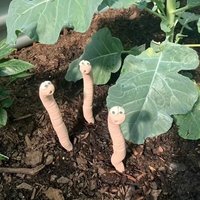 5pcs 5pcs Garden Ground Insertions Cute Design Fun Miniatures Earthworm Soil Moisture Meter Worm Plant Decorations Courtyard