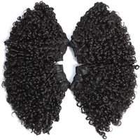 Silky Healthy Double Drawn Pixie Curls Virgin Vietnamese Raw Indian Kinky Curly 100% Human Hair Extension Bundles No Closure