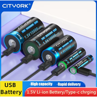 CITYORK 1.5V Li-ion USB batterie Rechargeable AA AAA C/D taille batterie au Lithium avec charge type-c pour jouet souris chauffage Radios