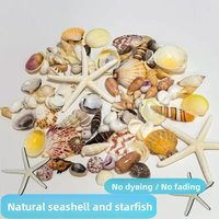 Pure Natural Mixed Sea Starry DIY Handmade Ocean Bottle Aquarium Decorative Material for Semi-Water Turtles