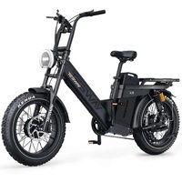 AliExpress NONE TESWAY X5 AWD E-Bike 3000W Peak Power Motor 52V60Ah Lithium Battery 20''*4.0'' All-terrain Fat Tires 300KM Range Electric Bike