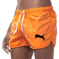 2026 Men's Beach Surfing Shorts Summer New Quick Drying Running Fashion Multi Color Sports