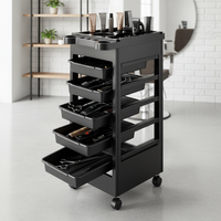 5 Drawers, Beauty Rolling Trolley Tray Cart Utility Cart Salon Styling Station Trolley Equipment Rolling Storage for Hair Salons
