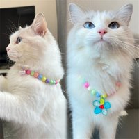 New Pearl Dog Necklace Collar Heart Fashion Jeweled Puppy Cat Collar Adjustable Dog Neck Decor Accessories Pet Supplies