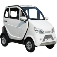2025 EEC CE Passenger Transport Enclosed Electric Car Vehicle New Energy Eco-Friendly for Adult