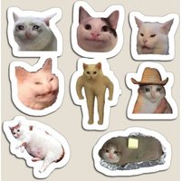 Cat Meme Sticker Bundle Magnet Kids Cute Toy Holder Stickers Home Baby Refrigerator Funny Decor Children for Fridge Organizer
