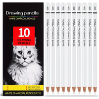 White Charcoal Pencils for Drawing, Professional 10 Pieces White Colored Pencils for Sketching, Shading, Blending, White