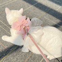 Cute Princess Style Cat Harness Leash Breathable Nylon Cat Vest with Bowknot Adjustable Pet Chest Strap Photo Shoot