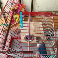 1pc Wood Bird Breeding Box Bird House Nest Parrot Breeding Decorative Cages Pet Accessories Home Balcony Decoration