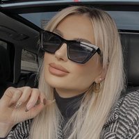 Fashionable New Cat-eye Sunglasses Personalized Street Photography Sunglasses Trendy Car Sunglasses 97086