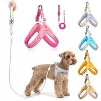 Y Style Dog Harness and Leash Set Lightweight Soft Padded Puppy Vest Harness for Small Medium Dogs