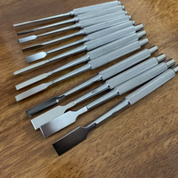 Orthopedic Surgical Instrument Set Stainless Steel Osteotomes 4mm to 16mm for Bone Care Veterinary