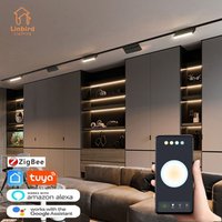 Inteligentny system oświetlenia szynowego z magnetyczną szyną Nowoczesna elastyczna oprawa Reflektor LED DC48V Sufitowe oświetlenie wewnętrzne