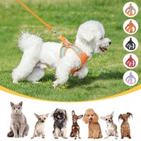 Soft Air Mesh Dog Harness and Leash Set for Small Breeds Cats – Reflective, Breathable, Step-In Vest with Safety Buckle