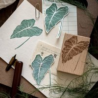 Morning Rain Nature's Poetry Journal Stamps High-Quality Large-Size Flower and Leaf Plant Decorative Patterns DIY Check-In Stamps