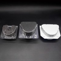 20/30pcs Denture Model Storage Boxes Dental Implant Storage Plastic Tooth Box With Foam Sponge Teeth Case