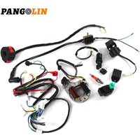 Electric Wire Loom CDI Stator Set Wire Harness CDI Stator 6 Coil Pole Accessories Kit for 50CC 70CC 90CC 110CC 125CC ATV QUAD