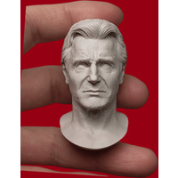 1/6 Casting Resin Model Assembly Kit, Resin Model Head, Unpainted 35066