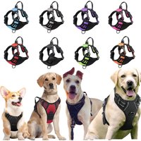 Medium Large Dog Collars Harness Big Vests Harness for Dog Pet Shop Everything for Dogs Small Dogs Harness Puppy Accessories