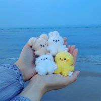 Staykids SKZ Mini Keychain Pendant New SKzoo FM Field Week 5cm Plush Cartoon Cute Pendant Children's Birthday Toy