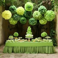 13-Piece Mint Green Fruit Green Themed Paper Flower Ball Party Hanging Decorations Set for Wedding Birthday Graduation Anniversa