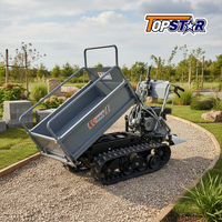 Mini-Dumper 600kg EURO 5 EPA Hochwertig Schnelle Lieferung Raupendumper Werksanpassung Bestseller
