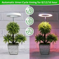 LED Plant Grow Light Indoor Plants Full Spectrum Growth Lamp With Automatic Timer USB Phytolamp Greenhousse Plants Growth Lamp