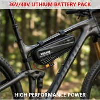AliExpress Aleaivy Waterproof 36V 48V Ebike Battery Pack 14Ah 12Ah 10A Li-ion Battery For Electric Bicycle Scooter With 20A BMS Charger XT60 Plug