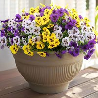 20Artificial Phalaenopsis Orchid, Pansy Bouquet, Fake Silk Flowers for Wedding, Home, Office, and Outdoor Decoration