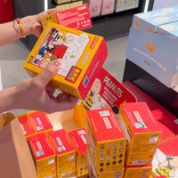 Hot Snoopy & Friends Collectible Mystery Watch Blind Box Surprise Cartoon Watches Set For Kids/Adults Unisex Random Toys Gifts