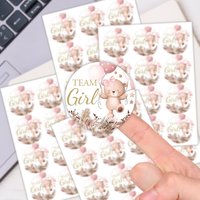 120pcs-10sheets Cute Pink Blue Team Girl Boy Bear Stickers For Party Shower Favors Decor,Team Activity Tags,Gift Wrapping Labels