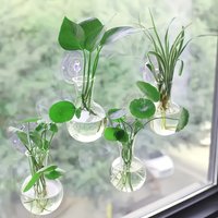 Set of 4 Hydroponic Pothos Plant Bottles, Plastic Hanging Accessories for Home Gardening, Transparent Vases