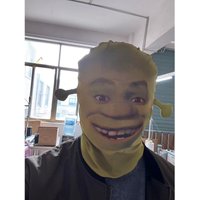 Shrek Fiona 3D Full Face Mask – Breathable Funny Monster Mask, Halloween Cosplay Prank Party Essential