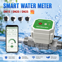M220XXXFW Tuya Smart Water Valve Flow Meter DN20 Temperature Monitoring Timer Irrigation Controller IP67
