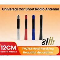12 cm für universelle Autoradio-Antenne, Dach-AM/FM-Radio-Antenne, dekorative Antenne, geeignet für die meisten Autos, vier Farben erhältlich