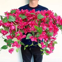 Artificial Bougainvillea Vine Flowers - Plastic Faux Floral Branches for Home, Wedding, Garden Decor Christmas, Thanksgiving