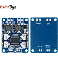 Estardyn TPA3118 60W Mono Digital Audio Amplifier Board, DC 12-24V Class D Module for Car & DIY Speaker