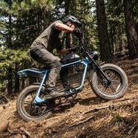 Fat Tire Electric Bike with Impact Resistant Frame Shared Electric Bicycle for Public Shared Travel Scenic Operation