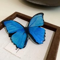 Fairycore Dark Blue Butterfly Duck Hair Clips Women Pastoral Style Fairy New Premium Design Sense Fashion Luxury Accessories K