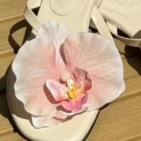 1 Pair Simulation Coloful Thai Fairy Butterfly Flower Shoe Buckles Butterfly Orchid Phalaenopsis Shoe Flower Sandals Accessories