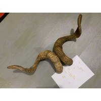 unique horn,Original Old cotton sheep corner, raw materials,decorative crafts