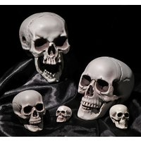 All Size Plastic Human Skull Head Skeleton Halloween Style Photo Prop Cranium Haunted House Statue Party Decor Game Supplies