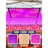 150W Full Spectrum Quantum Board Plant Grow Light Indoor Flower Cultivation Lamp US/EU Plug For Greenhouse Tent Tomato Vegetable